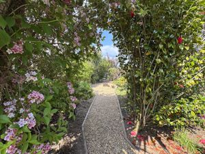 Photo 18- click for photo gallery